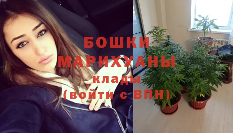 Бошки марихуана OG Kush  ссылка на мегу зеркало  Гдов 